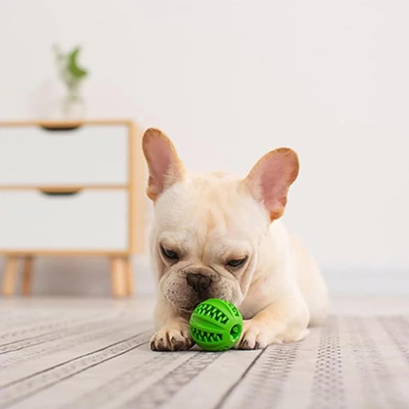 Palla da Masticare in Gomma Naturale per Cani – Giocattolo Interattivo per Pulizia Denti, Dentizione Cuccioli e Snack