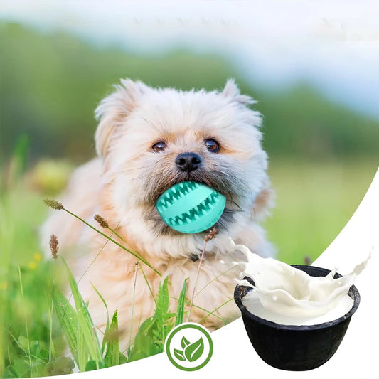 Palla da Masticare in Gomma Naturale per Cani – Giocattolo Interattivo per Pulizia Denti, Dentizione Cuccioli e Snack