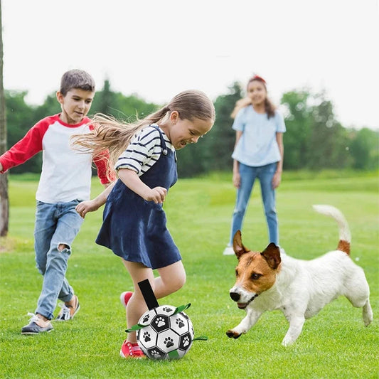 Palla da Calcio Interattiva per Cani – Giocattolo da Masticare per Allenamento all’Aperto e Dentizione