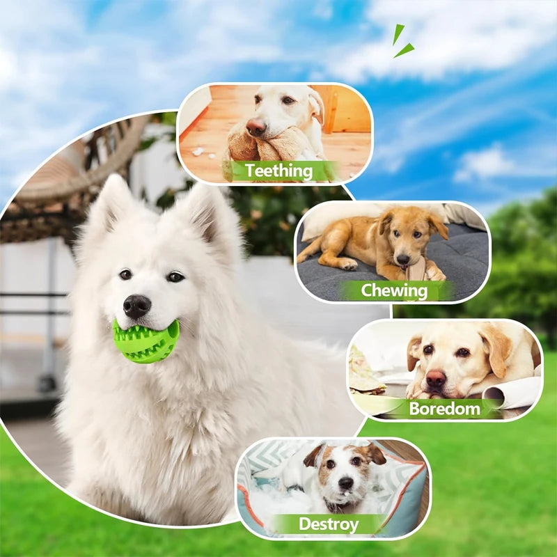 Palla da Masticare in Gomma Naturale per Cani – Giocattolo Interattivo per Pulizia Denti, Dentizione Cuccioli e Snack
